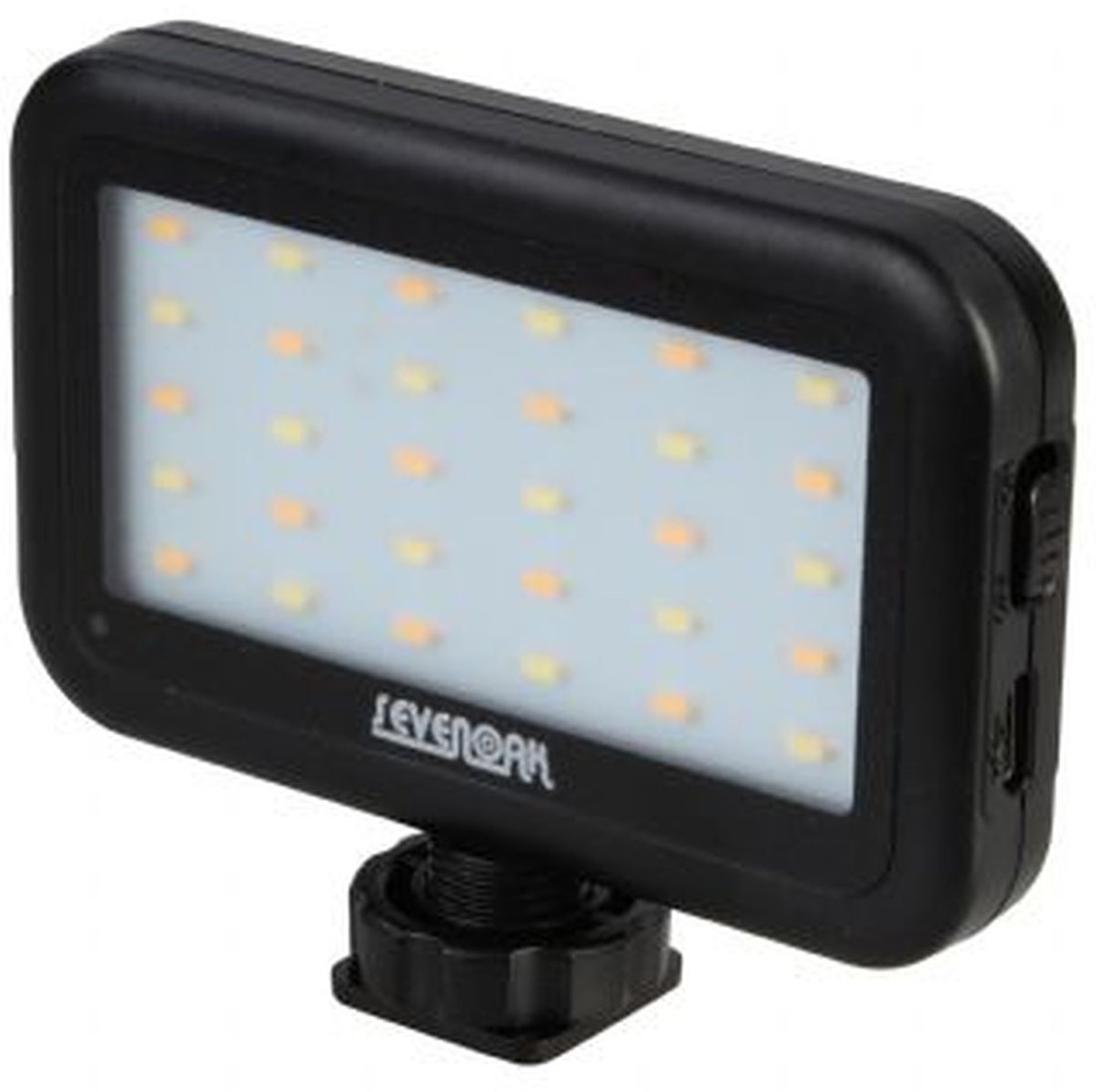 SK PL30 LED video light